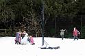 Snowy_Weather_Feb_09 (16)